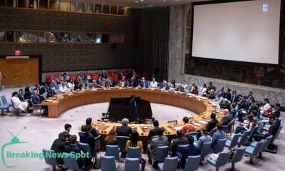 UN Security Council