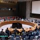 UN Security Council